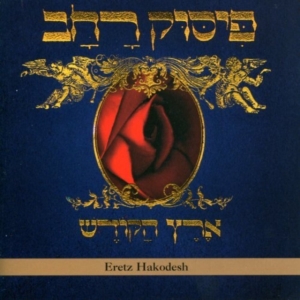 Pissuk Rachav - Eretz Hakodesh ryhmässä CD @ Bengans Skivbutik AB (3764718)
