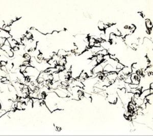 Zorn John - There Is No More Firmament ryhmässä CD @ Bengans Skivbutik AB (3764798)