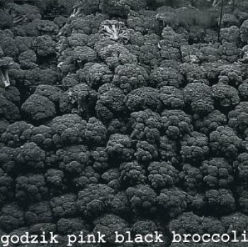 Godzik Pink - Black Broccoli ryhmässä CD / Rock @ Bengans Skivbutik AB (3764894)