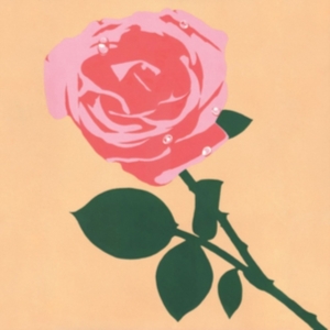 Nerftoss - Maiden Powers ryhmässä CD @ Bengans Skivbutik AB (3764937)