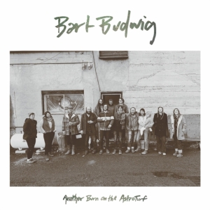Bart Budwig - Another Burn On The Astroturf ryhmässä VINYYLI @ Bengans Skivbutik AB (3768122)