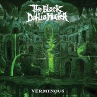 Black Dahlia Murder The - Verminous ryhmässä VINYYLI @ Bengans Skivbutik AB (3768244)