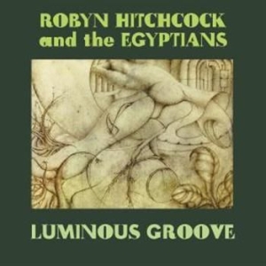 Hitchcock Robyn - Luminous Groove Box Set ryhmässä CD @ Bengans Skivbutik AB (3768776)
