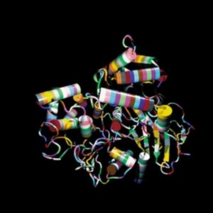 OTHER TWO - SUPER HIGHWAYS ryhmässä CD @ Bengans Skivbutik AB (3768796)