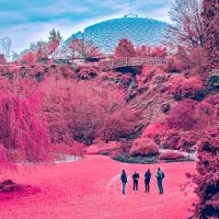 Zolas - Swooner ryhmässä CD / Pop-Rock @ Bengans Skivbutik AB (3768871)