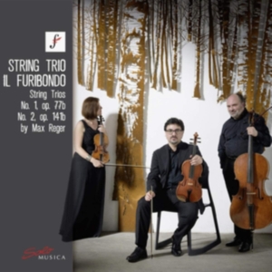 Reger Max - String Trio No. 1, Op. 77B String ryhmässä CD @ Bengans Skivbutik AB (3769429)