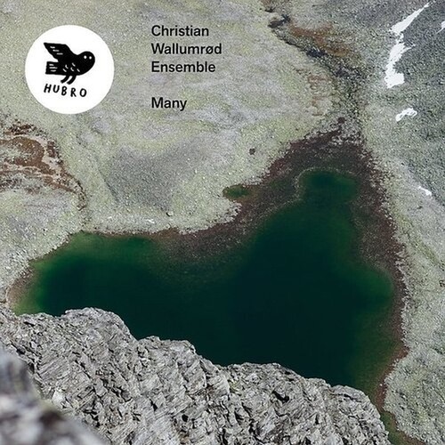 Wallumröd Christian & Ensemble - Many ryhmässä VINYYLI / Rock @ Bengans Skivbutik AB (3771208)
