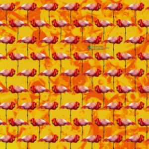 Elephant Chateau - Dreamings & Offshore Drilling ryhmässä VINYYLI @ Bengans Skivbutik AB (3772466)