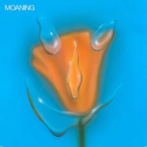 Moaning - Uneasy Laughter ryhmässä CD @ Bengans Skivbutik AB (3772948)