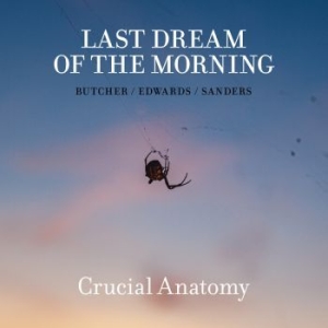Butcher / Edwards / Sanders - Last Dream Of The Morning ryhmässä CD @ Bengans Skivbutik AB (3772958)