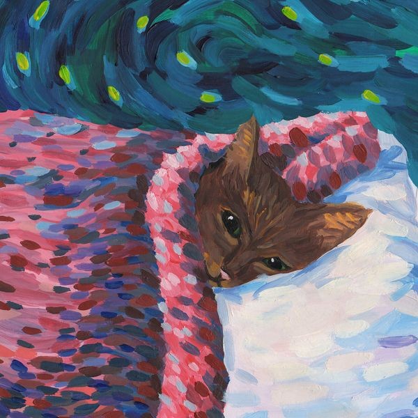 Cavetown - Sleepyhead ryhmässä CD / Pop @ Bengans Skivbutik AB (3772989)