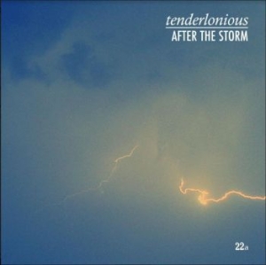 Tenderlonious - After The Storm ryhmässä VINYYLI @ Bengans Skivbutik AB (3778965)