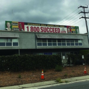 Media Jeweler - 1 800 Succeed ryhmässä CD @ Bengans Skivbutik AB (3780697)