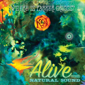 Various Artists - Where Is Parker Griggs? ryhmässä VINYYLI @ Bengans Skivbutik AB (3782400)