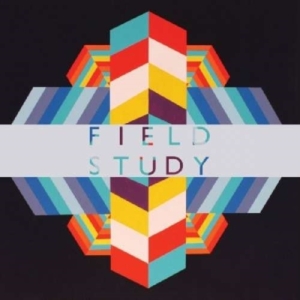 Field Study - Feverland ryhmässä VINYYLI @ Bengans Skivbutik AB (3782481)