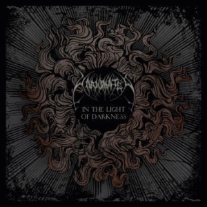 Unanimated - In The Light Of Darkness (Re-Issue 2020) ryhmässä VINYYLI @ Bengans Skivbutik AB (3783830)