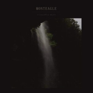 Monteagle - A Colorful Moth ryhmässä VINYYLI @ Bengans Skivbutik AB (3788058)