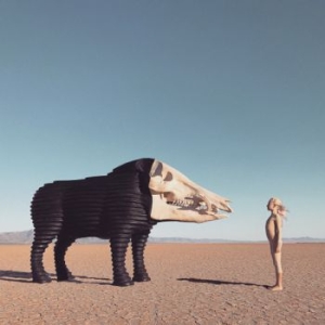 Man Man - Dream Hunting In The Valley Of The ryhmässä VINYYLI @ Bengans Skivbutik AB (3789106)