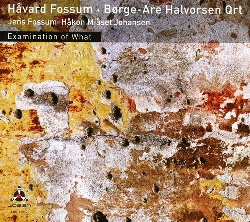 Fossum Håvard/Halvorsen Börge Are Q - Ex ryhmässä CD / Jazz/Blues @ Bengans Skivbutik AB (3798972)