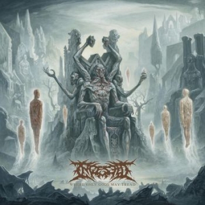 Ingested - Where Only Gods May Tread ryhmässä CD @ Bengans Skivbutik AB (3802623)