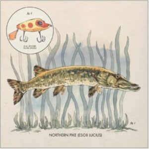 Lowe Nick - Lay It On Me ryhmässä VINYYLI @ Bengans Skivbutik AB (3805423)