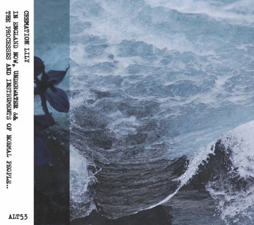 Cremation Lily - In England Now & The Processes... ryhmässä CD / Rock @ Bengans Skivbutik AB (3805498)