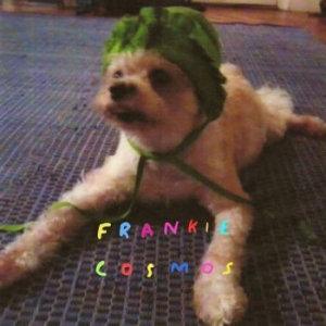 Frankie Cosmos - Zentropy ryhmässä CD @ Bengans Skivbutik AB (3807906)