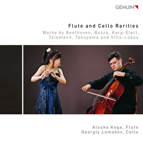 Various - Flute & Cello Rarities - Works By B ryhmässä CD / Myydyimmät @ Bengans Skivbutik AB (3808035)