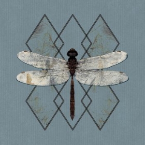 Ohhms - Close ryhmässä VINYYLI @ Bengans Skivbutik AB (3808095)