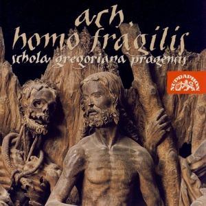 Various - Ach, Homo Fragilis ryhmässä CD @ Bengans Skivbutik AB (3815215)