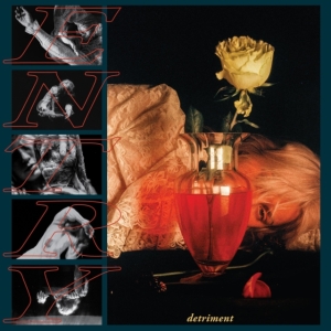 Entry - Detriment (Vinyl) ryhmässä VINYYLI @ Bengans Skivbutik AB (3815963)