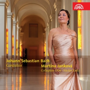 Bach Johann Sebastian - Cantatas ryhmässä CD @ Bengans Skivbutik AB (3816688)