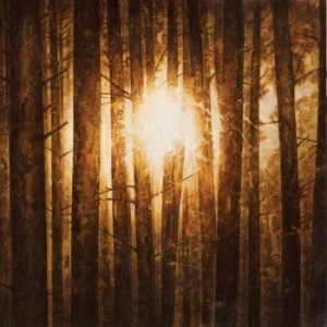 In Mourning - Echoes (3Lp Boxset Svart) ryhmässä VINYYLI @ Bengans Skivbutik AB (3818823)
