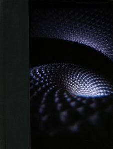 Tool - Fear Inoculum ryhmässä ME SUOSITTELEMME / Bäst Album Under 10-talet / Bäst Album Under 10-talet - Classic Rock @ Bengans Skivbutik AB (3820751)
