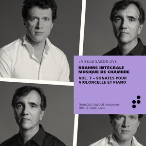Brahms Johannes - Integrale Musique De Chambre, Vol. ryhmässä CD @ Bengans Skivbutik AB (3824586)