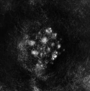 Saffronkeira - Synecdoche ryhmässä VINYYLI @ Bengans Skivbutik AB (3829695)