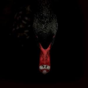 Sankt Otten + N - Mannerfreundschaften Und Metaphysik ryhmässä VINYYLI @ Bengans Skivbutik AB (3829707)