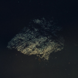 Multicast Dynamics - Lost World ryhmässä VINYYLI @ Bengans Skivbutik AB (3829748)