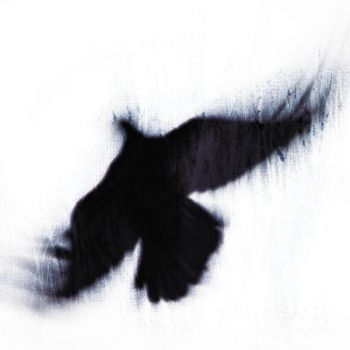 Blueneck - The Fallen Host ryhmässä CD / Pop @ Bengans Skivbutik AB (3829856)