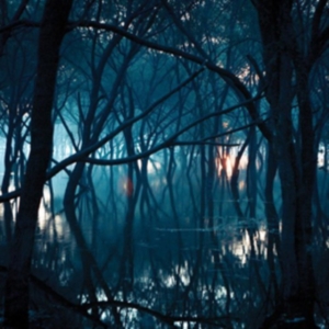 Oneirogen - Kiasma ryhmässä CD @ Bengans Skivbutik AB (3830227)