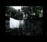 Eye Of Time The - Acoustic ryhmässä CD @ Bengans Skivbutik AB (3830258)