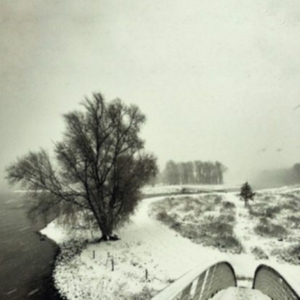Beequeen - Winter ryhmässä VINYYLI @ Bengans Skivbutik AB (3838739)