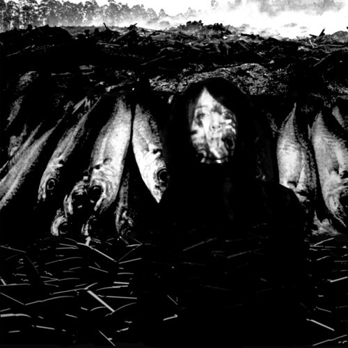 Suzie Stapleton - We Are The Plague ryhmässä CD / Rock @ Bengans Skivbutik AB (3839073)