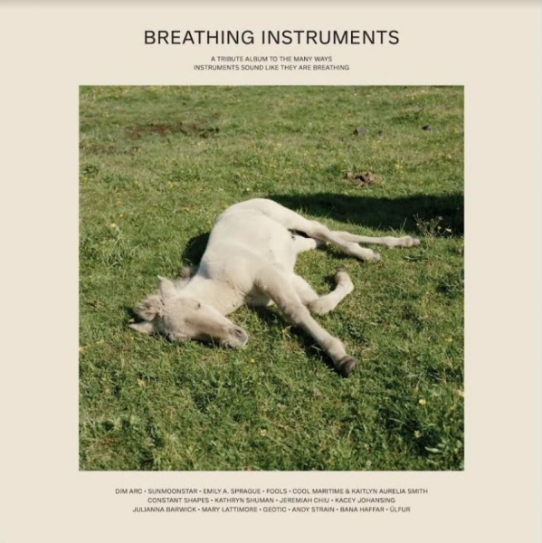 Various Artists - Breathing Instruments ryhmässä VINYYLI / Myydyimmät @ Bengans Skivbutik AB (3840174)