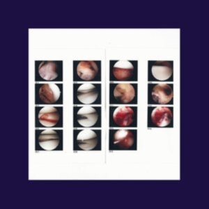 Cradle - Laughing In My Sleep ryhmässä CD @ Bengans Skivbutik AB (3840215)