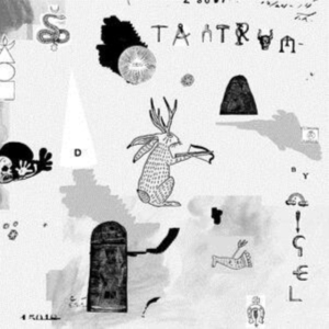 Nigel - Tantrum ryhmässä CD @ Bengans Skivbutik AB (3840219)