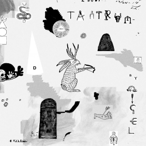 Nigel - Tantrum ryhmässä CD @ Bengans Skivbutik AB (3840219)