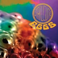 Otakusuite - Black Flower ryhmässä CD @ Bengans Skivbutik AB (3841173)