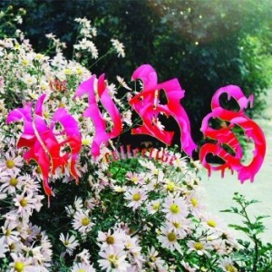 Hirs Collective - Friends. Lovers. Favorites ryhmässä CD @ Bengans Skivbutik AB (3841447)