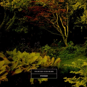 14 ICED BEARS - WONDER ryhmässä VINYYLI @ Bengans Skivbutik AB (3842191)